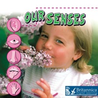 Cover image: Our Senses 1st edition 9781600445132