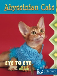 表紙画像: Abyssinian Cats 1st edition 9781606943397