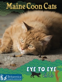Imagen de portada: Maine Coon Cats 1st edition 9781606943373