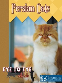 صورة الغلاف: Persian Cats 1st edition 9781606943342