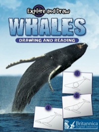 صورة الغلاف: Whales 1st edition 9781615902538