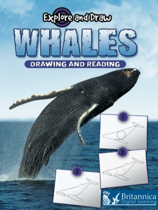 Cover image: Whales 1st edition 9781615902538