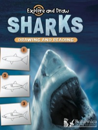 صورة الغلاف: Sharks 1st edition 9781615902521