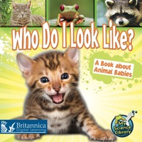 Imagen de portada: Who Do I Look Like? 1st edition 9781617417191