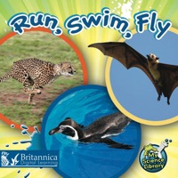 Imagen de portada: Run, Swim, Fly 1st edition 9781617417207