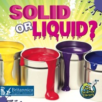 Cover image: Solid or Liquid? 1st edition 9781617417269
