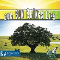Cover image: Our Sun Brings Life 1st edition 9781617417238