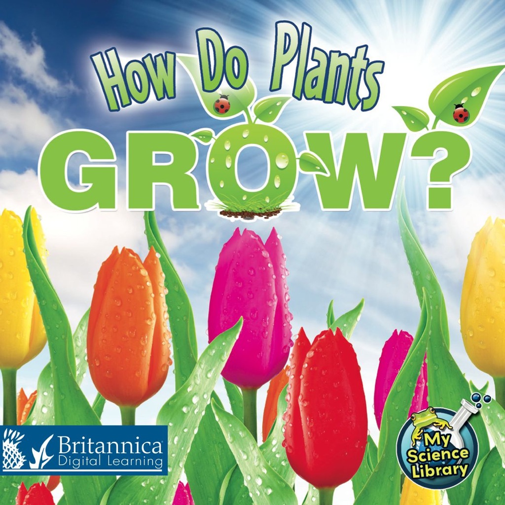 How Do Plants Grow? 1st Edition