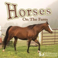 Cover image: Horses on the Farm 1st edition 9781615902668