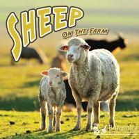 صورة الغلاف: Sheep on the Farm 1st edition 9781615902675