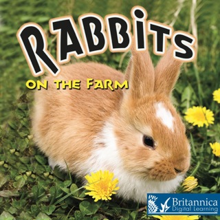 Cover image: Rabbits on the Farm 1st edition 9781615902682