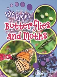 Cover image: Butterflies and Moths 1st edition 9781615903085