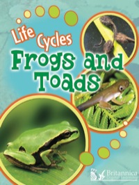 Imagen de portada: Frogs and Toads 1st edition 9781615903092