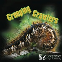 صورة الغلاف: Creeping Crawlers 1st edition 9781604727654