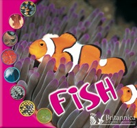 Imagen de portada: Fish 1st edition 9781595154170