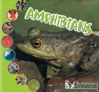 Cover image: Amphibians 1st edition 9781595154156