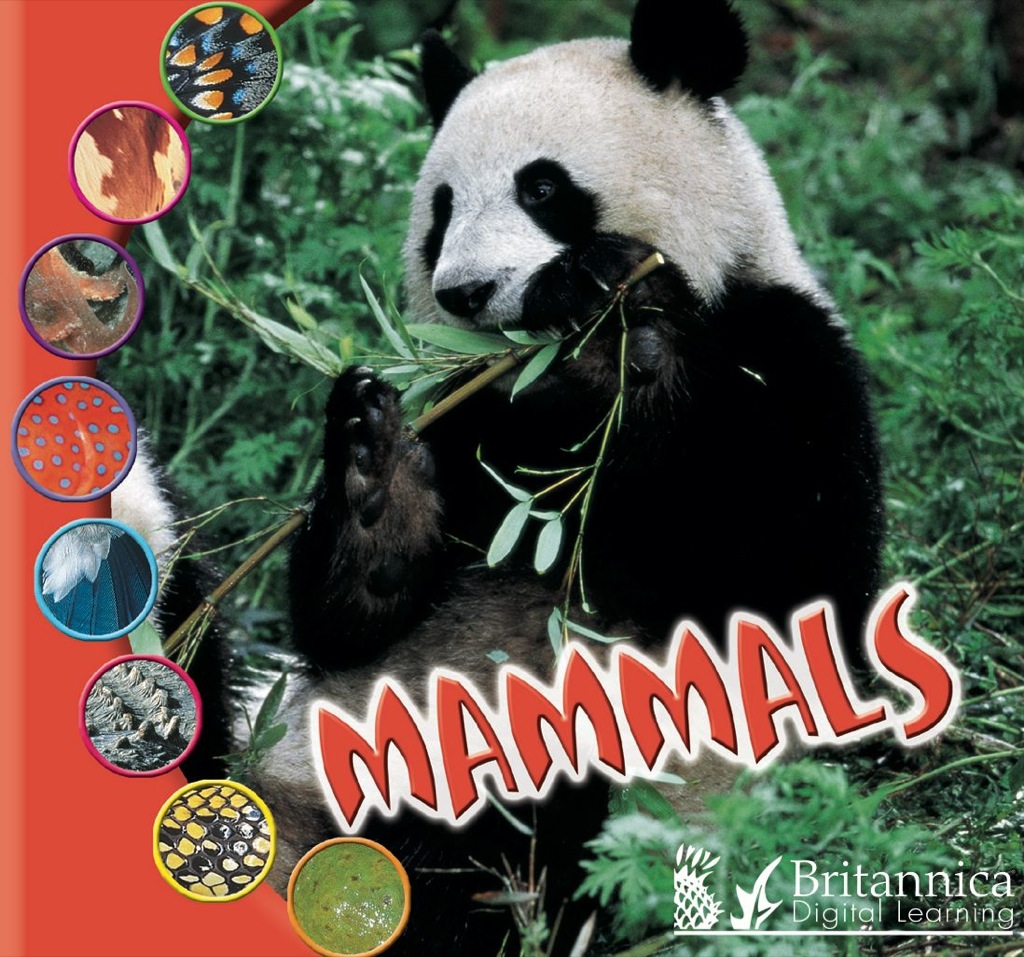 Mammals 1st Edition