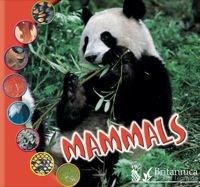 Imagen de portada: Mammals 1st edition 9781595154200