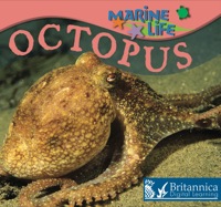 Cover image: Octopus 1st edition 9781595154408