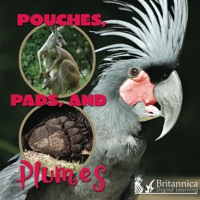 Cover image: Pouches, Pads, and Plumes 1st edition 9781604723106
