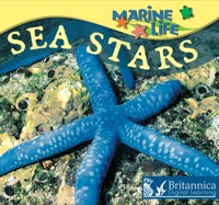 صورة الغلاف: Sea Stars 1st edition 9781595157560