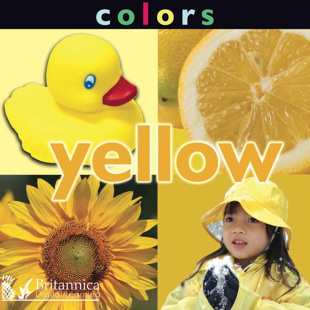 Colors: Yellow - 1st Edition (eBook Rental)