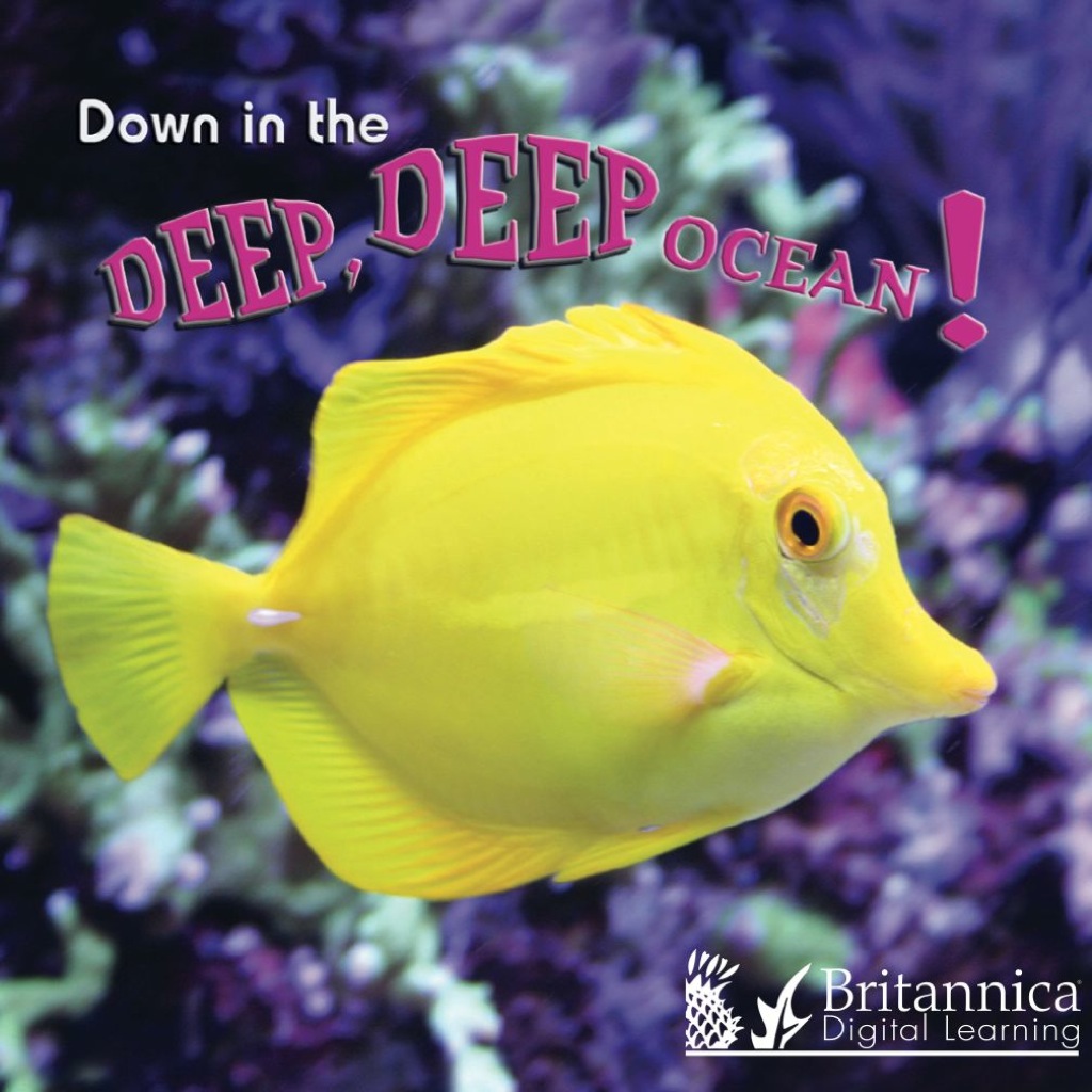 Down in the Deep Deep Ocean 1st Edition