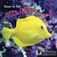 Imagen de portada: Down in the Deep Deep Ocean 1st edition 9781604725346