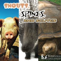 Imagen de portada: Snouts, Spines, and Scutes 1st edition 9781604723113