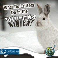 صورة الغلاف: What Do Critters Do in the Winter? 1st edition 9781617417467