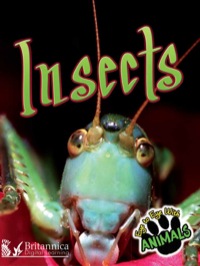 Cover image: Insects 1st edition 9781617417788