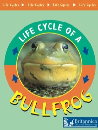 Imagen de portada: Bullfrog 1st edition 9781589523531
