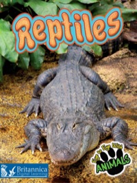 Imagen de portada: Reptiles 1st edition 9781617417757