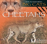Imagen de portada: Cheetahs 1st edition 9781589524019
