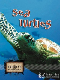 Cover image: Sea Turtles 1st edition 9781606944059