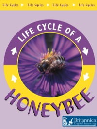 Imagen de portada: Honeybee 1st edition 9781589527058