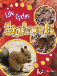 صورة الغلاف: Squirrels 1st edition 9781615903108