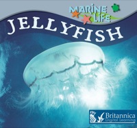 Imagen de portada: Jellyfish 1st edition 9781595157539