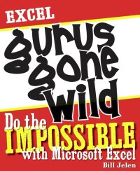 Cover image: Excel Gurus Gone Wild 9781932802405