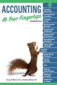 Cover image: Accounting At Your Fingertips, 2e 9781615642038