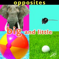 Imagen de portada: Opposites: Big and Little 9781604728132