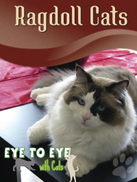 Imagen de portada: Ragdoll Cats 9781606943380