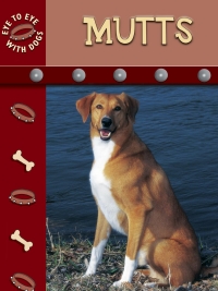 Cover image: Mutts 9781604723649