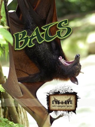 Cover image: Bats 9781606948453