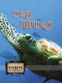 表紙画像: Sea Turtles 9781606948446