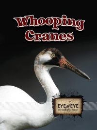 Cover image: Whooping Cranes 9781606948408