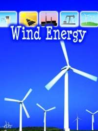 Imagen de portada: Wind Energy 9781617415418