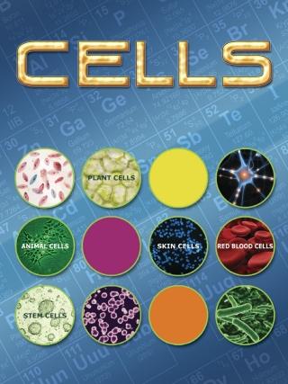 Imagen de portada: Cells 9781606945308