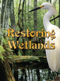Cover image: Restoring Wetlands 9781606945278
