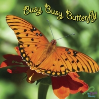 صورة الغلاف: Busy, Busy Butterfly 9781604725445